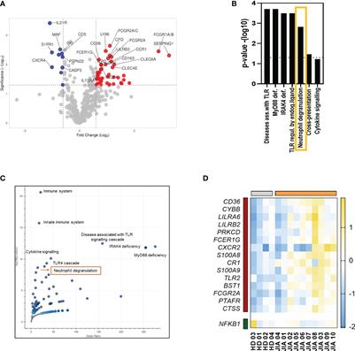 Expanded population of low-density neutrophils in juvenile idiopathic arthritis